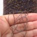 Vellus stellar