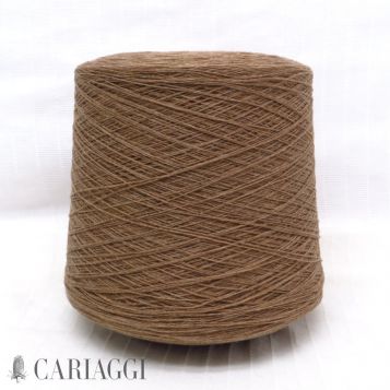 Cash-Lan Cariaggi