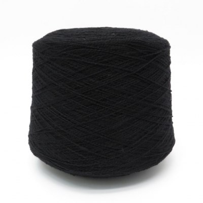 Taiga Biagioli Modesto