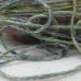 Cotone Stampato